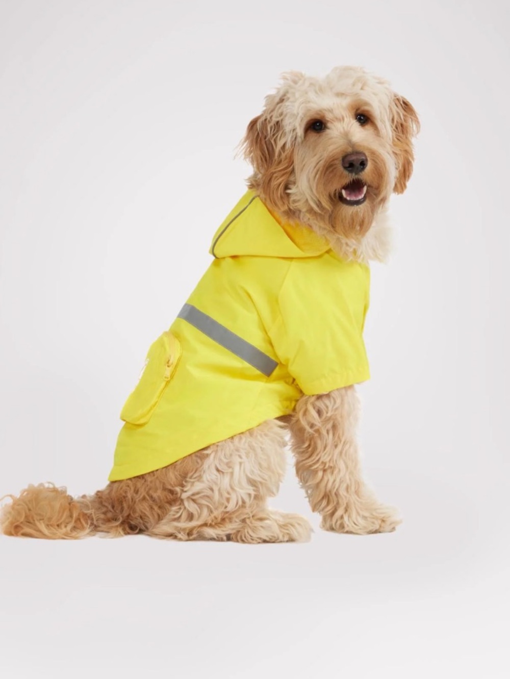 Bark High-Visibility Yellow Dog Raincoat M